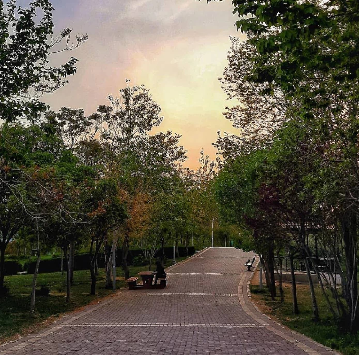 INTELLIGENCE ATTENZIONE ATTACCHI USA ISRALE VERSO IRAN #TEHERAN OBBIETTIVI SBAGLIATI ATTACCO PARCO CON NOME DI "PARCO POLIZIA" SOSPETTO USO OBBIETTIVI INTELLIGENZA ARTIFICIALE