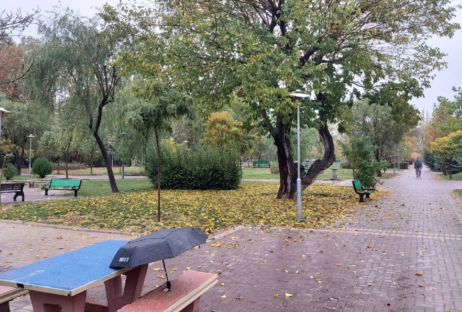 INTELLIGENCE ATTENZIONE ATTACCHI USA ISRALE VERSO IRAN #TEHERAN OBBIETTIVI SBAGLIATI ATTACCO PARCO CON NOME DI "PARCO POLIZIA" SOSPETTO USO OBBIETTIVI INTELLIGENZA ARTIFICIALE