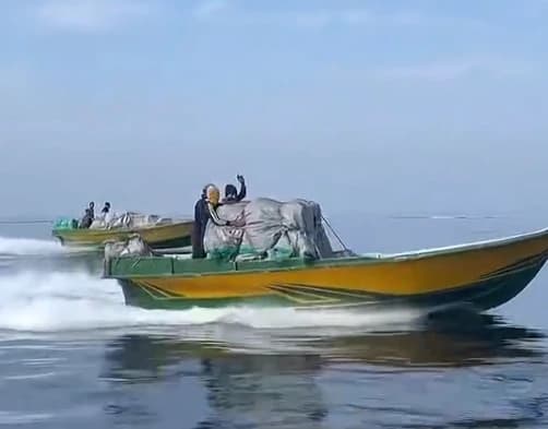 Stretto di Hormuz